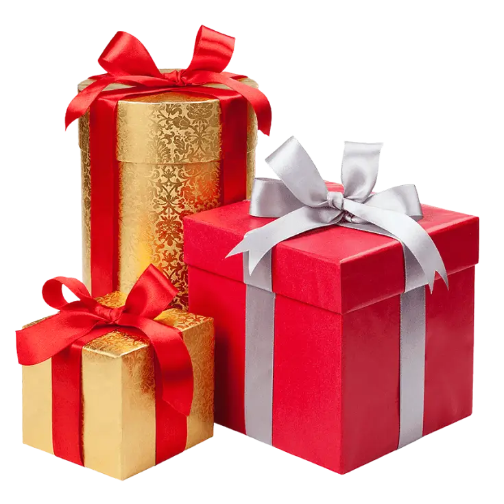 Dileesha Enterprises - Seasonal Products